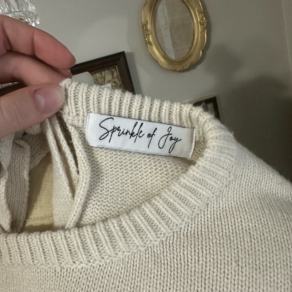 Color Block Crew Neck Sweater - Picture 2 of 5